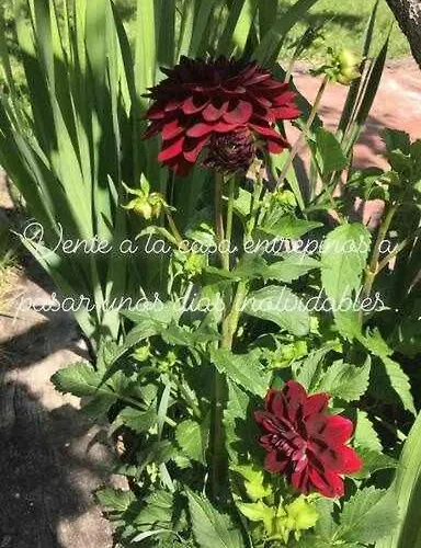 Entrepinos Hébergement de vacances Ávila